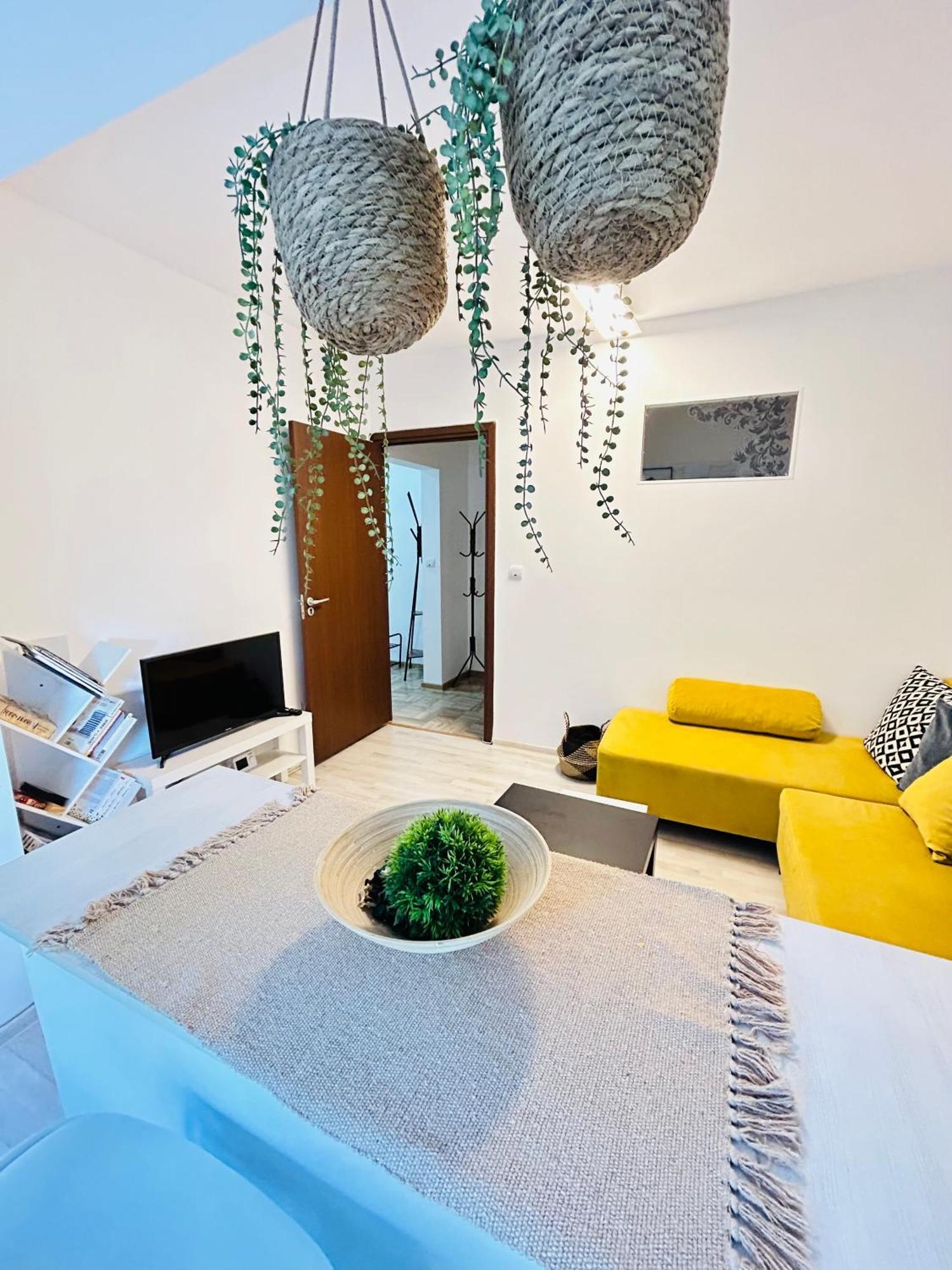 Alisz Apartments Timisoara Esterno foto